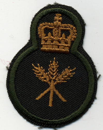 Grp 3, Cook Trade Badge - Green – Marway Militaria Inc & Winnipeg Army 