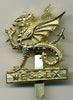 Wessex Brigade Cap Badge - Staybrite