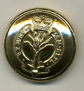 British: Staffordshire Regiment Uniform Button