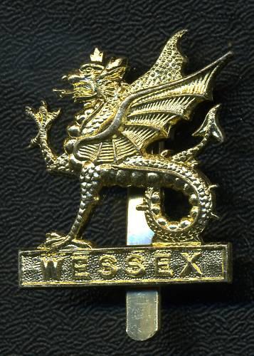 Wessex Brigade Anodised Aluminium Cap Badge – Marway Militaria Inc 