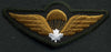 Parachute Badge, Garrison Dress