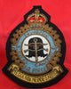 409 Squadron RCAF Gold Wire Jacket Crest