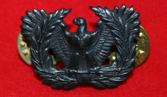 US Officers Collar Badge: Warrant Officers Emblem- Subdued