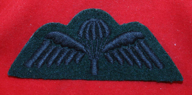 British Parachute Cloth Wing: Black wings on Dark Green with Black Chute