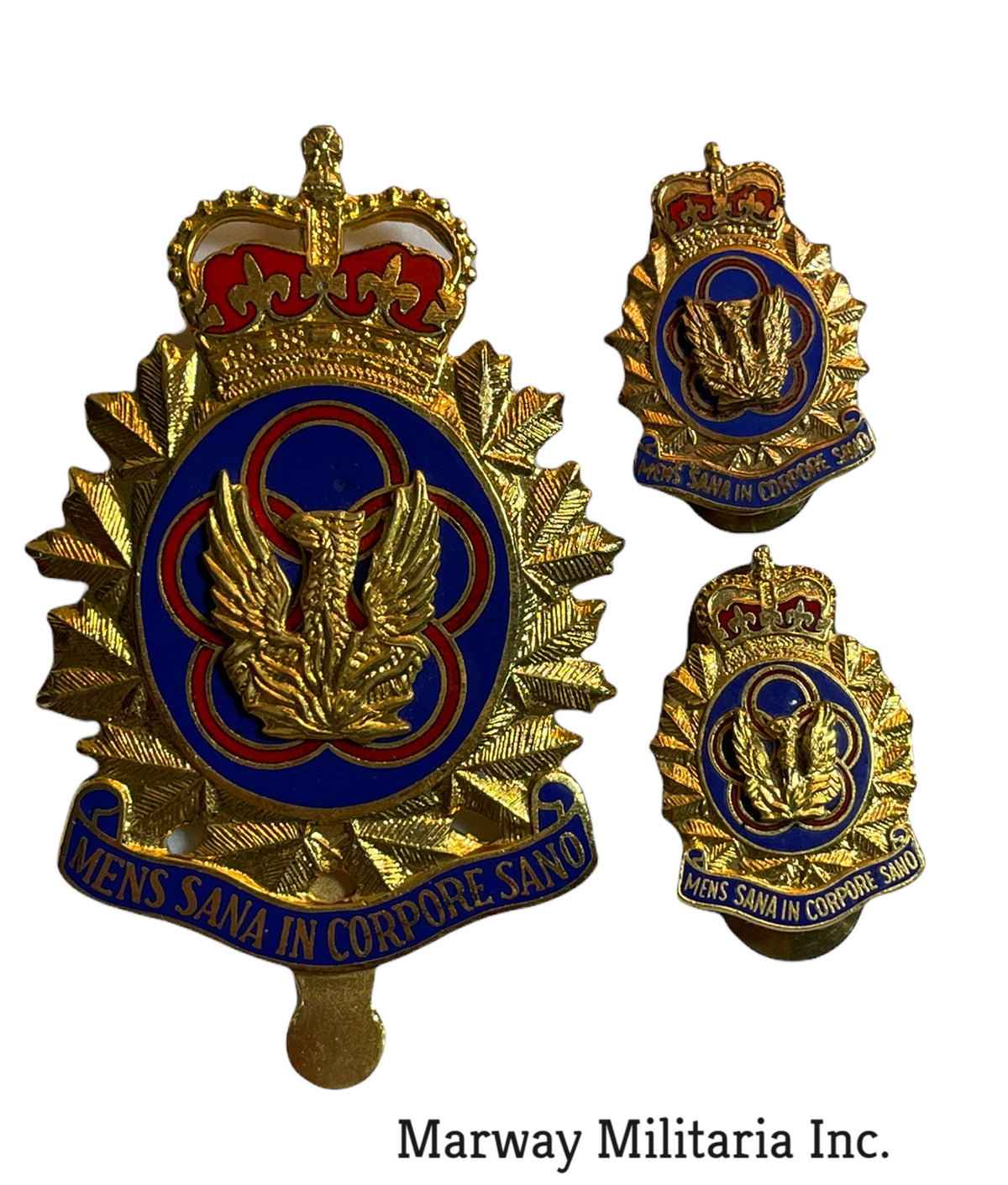 canadian-forces-physical-training-branch-badge-set-marway-militaria